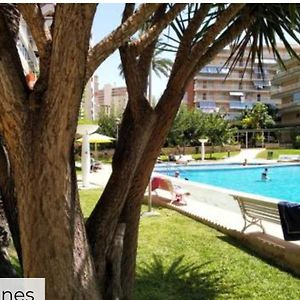 Apartamento en la Playa San Juan Benancantil